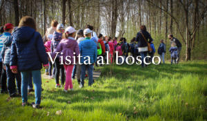 Visita al Bosco